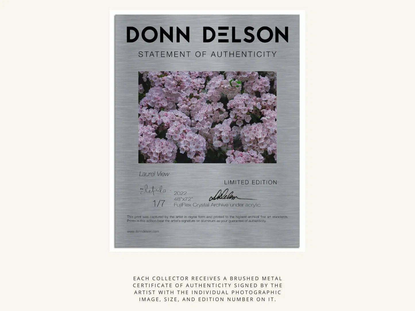 Confetti, by Donn Delson-PurePhoto