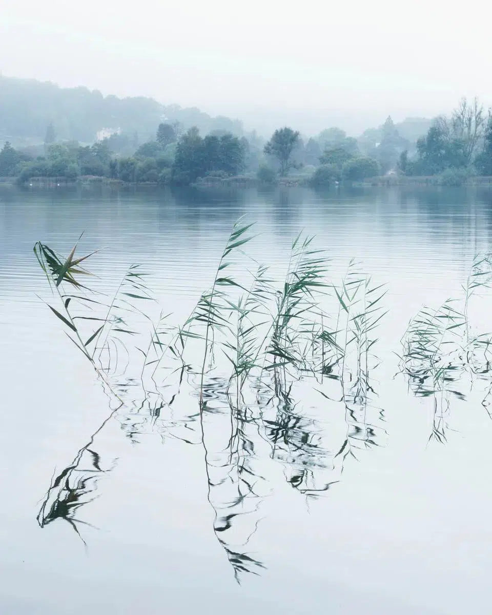 Grasmere #06 - Sep 2021, by Alan Ranger-PurePhoto