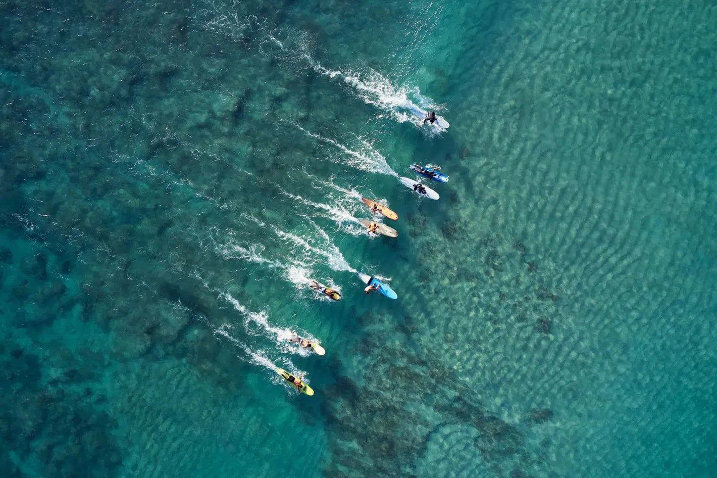 Harmony in Motion, by Drew Doggett-PurePhoto