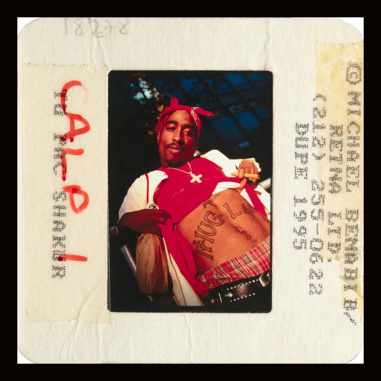 Tupac Shakur - Slide 1, from The Wild Ones collection-PurePhoto