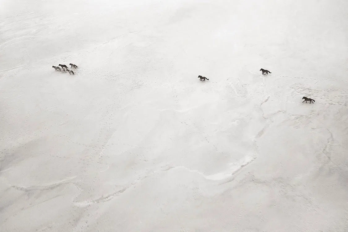 Uncharted Path, by Drew Doggett-PurePhoto