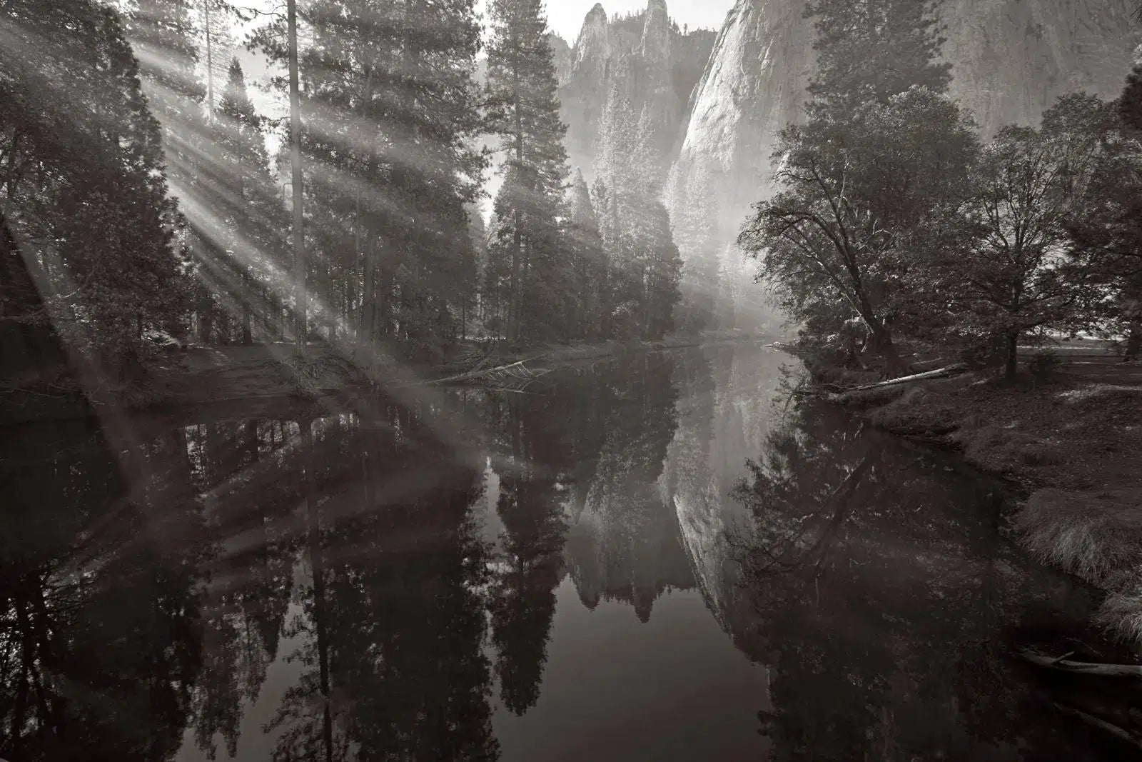 Yosemite Awakens, by Drew Doggett-PurePhoto